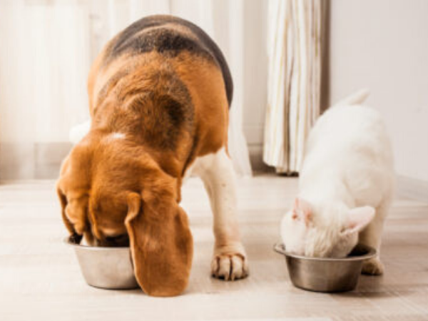 DCM. What we know now.