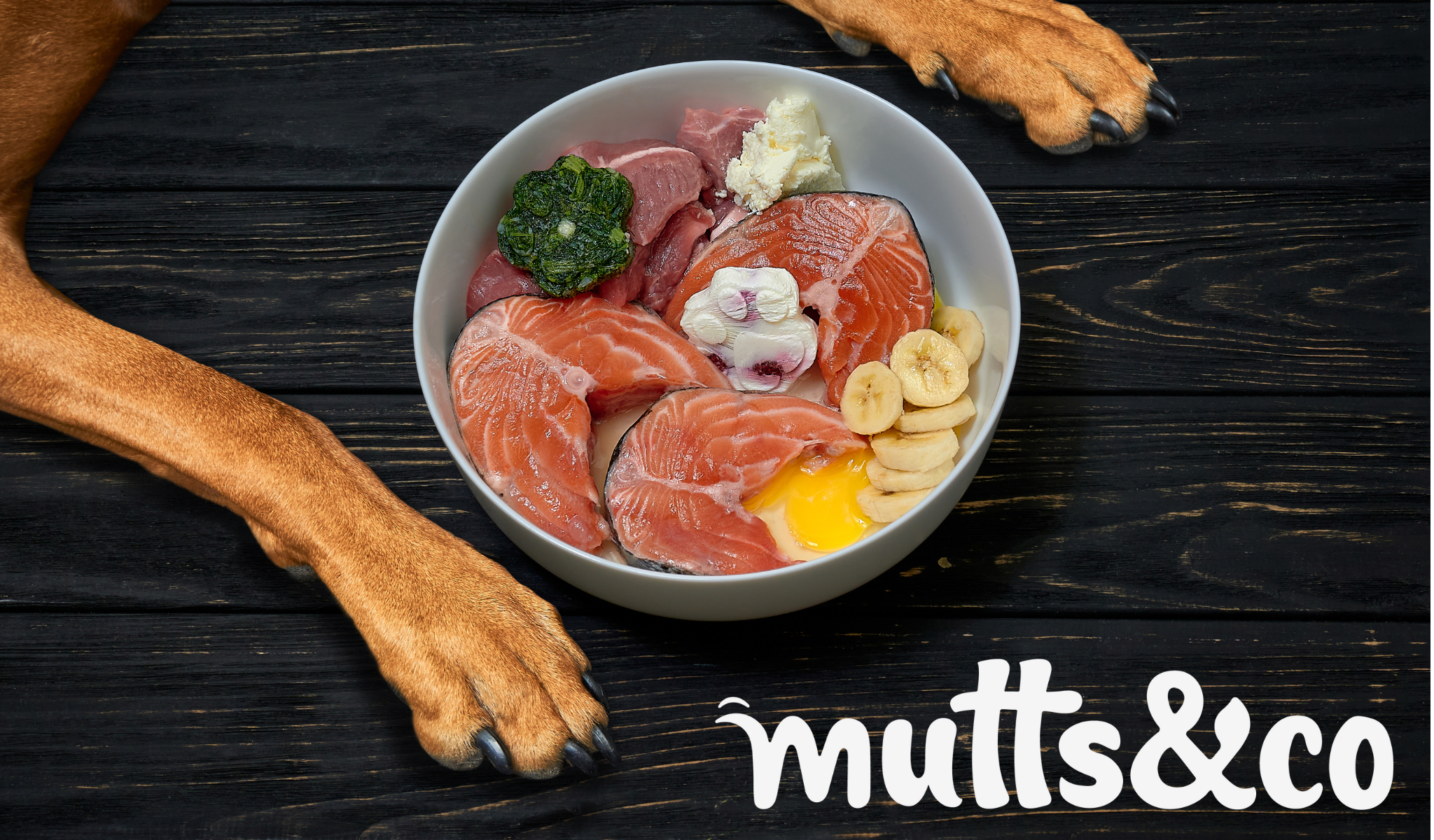 December 2022 FDA Update on DCM Study