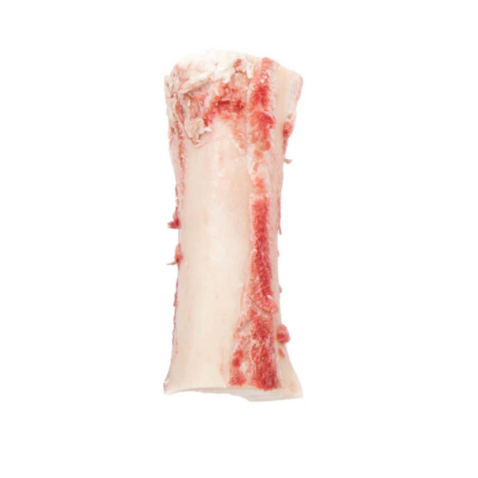 A large raw beef marrow bone with visible red meat and white fat displayed on a white background.