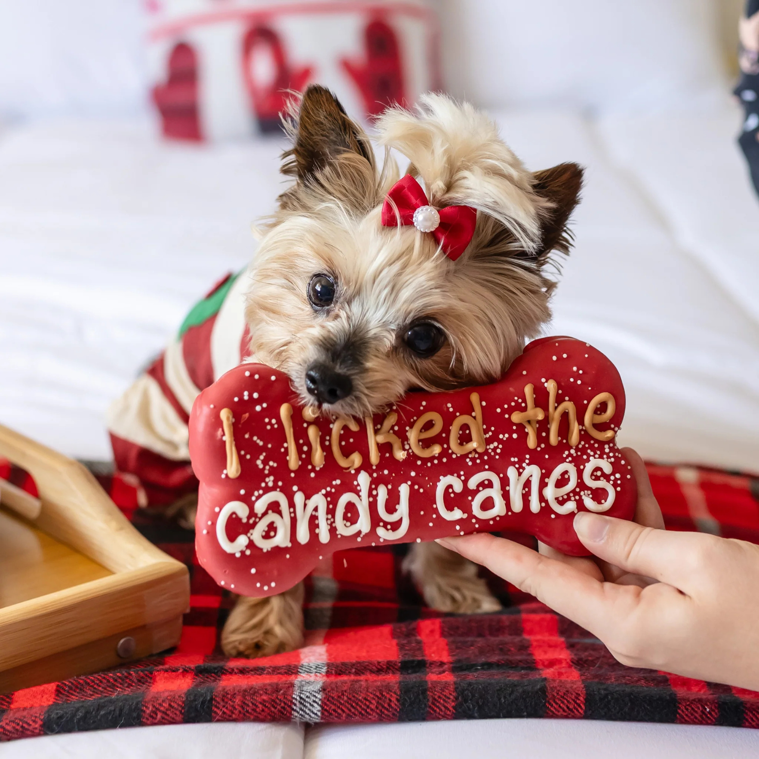 Bosco & Roxy's I Licked The Candy Canes Large Bone Holiday Gourmet Cookie