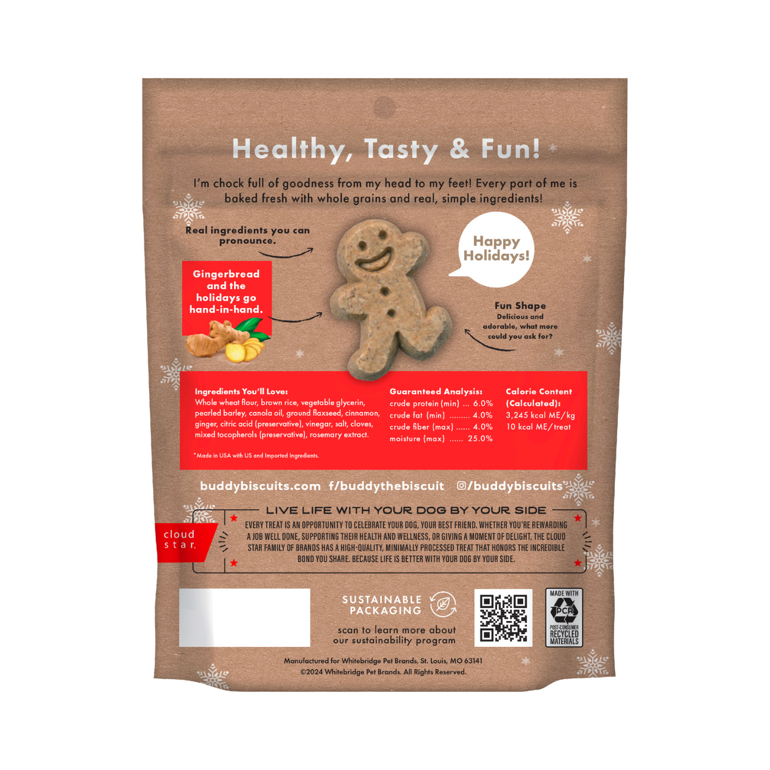 Cloud Star Buddy Biscuits Softies Soft & Chewy Dog Treats Gingerbread 6 oz