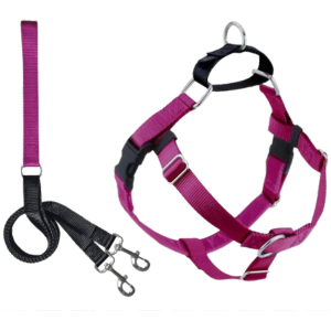 2 Hounds Design Freedom No-Pull Dog Harness With Leash Raspberry - Mutts & Co.