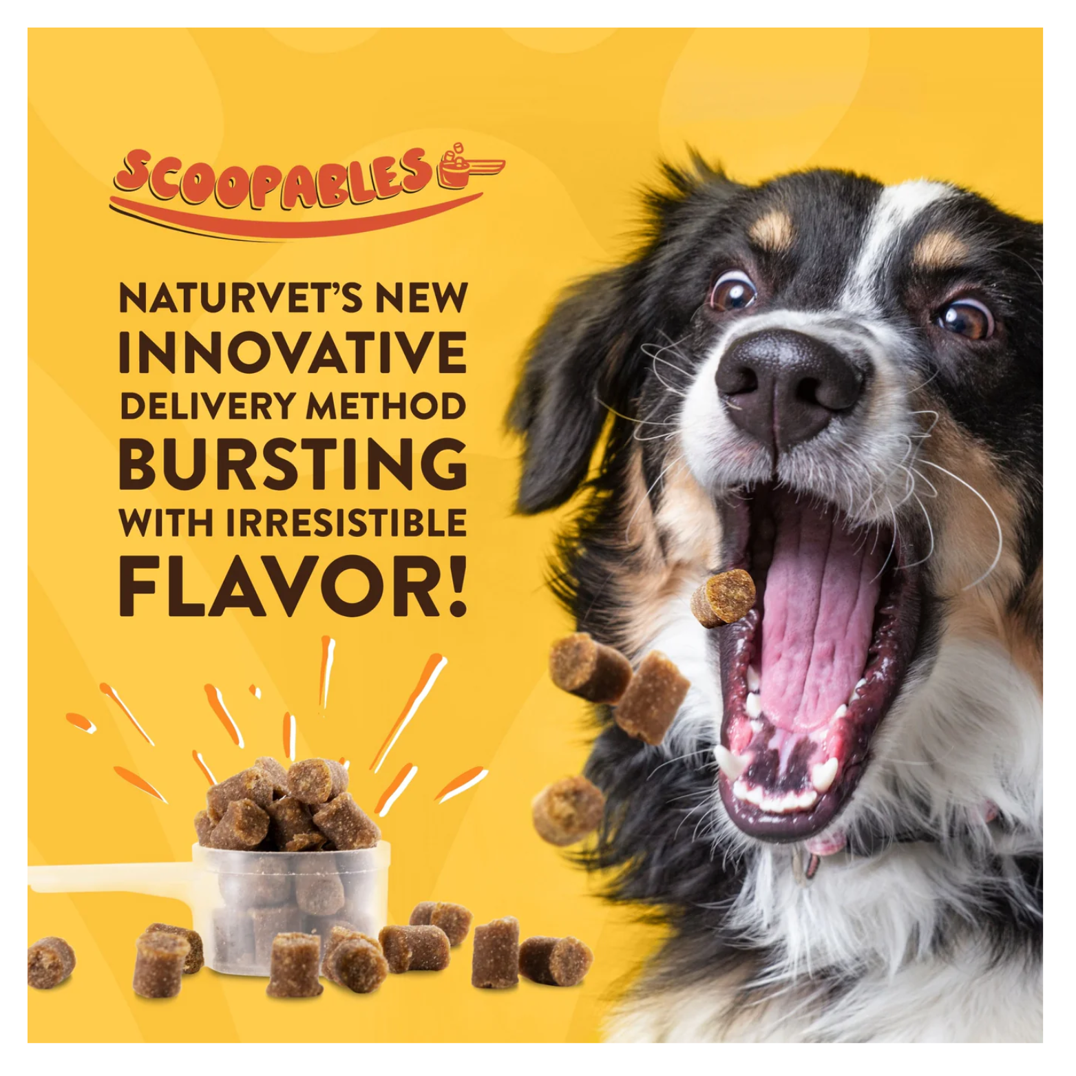 Promotional graphic with a yellow background showing a dog excitedly catching scoopable treats midair, with text highlighting NaturVet Scoopables as an innovative, flavor-bursting delivery method.