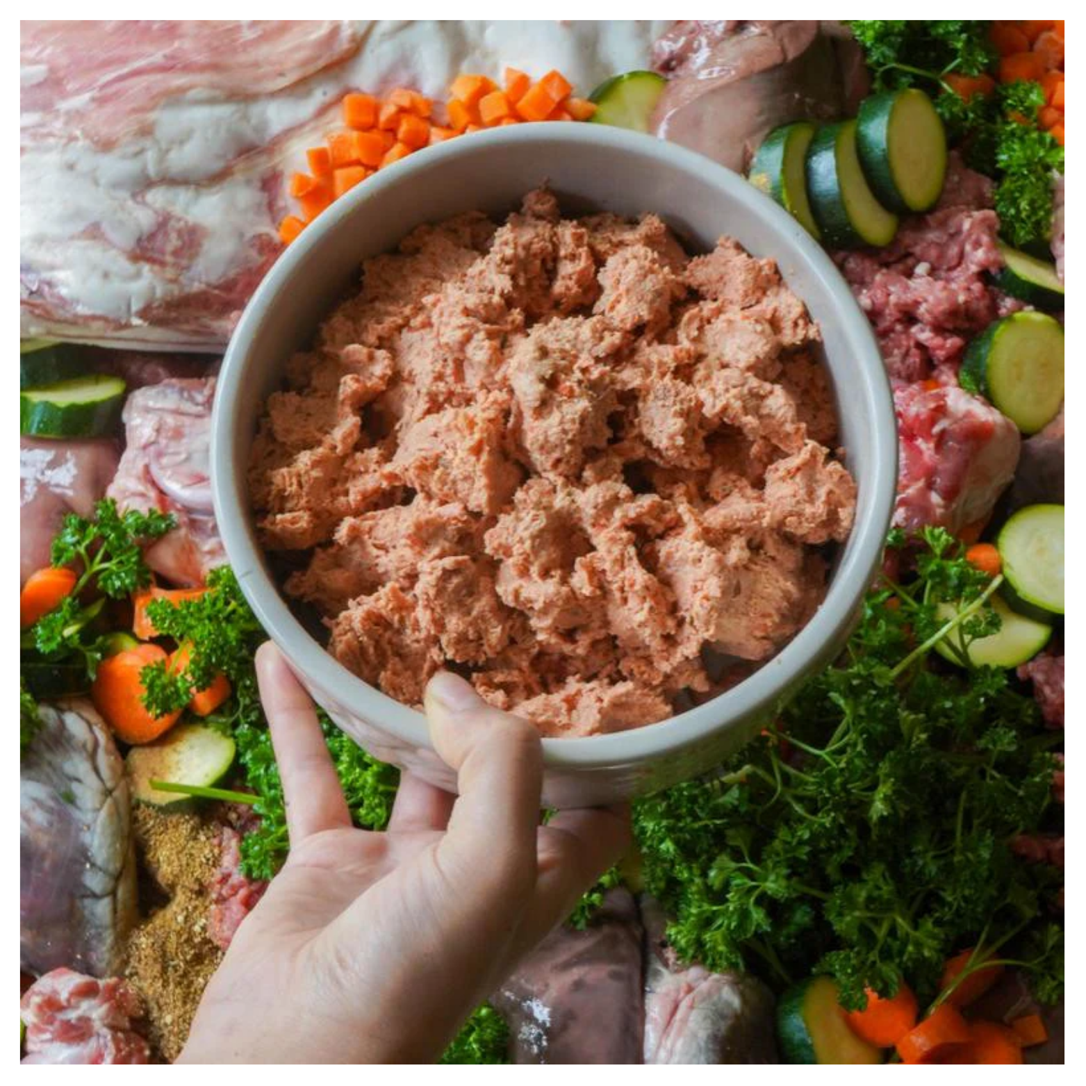 A hand holding a bowl of ground lamb dog food mixture over a background of raw meat and vegetables including zucchini, carrots, and parsley.