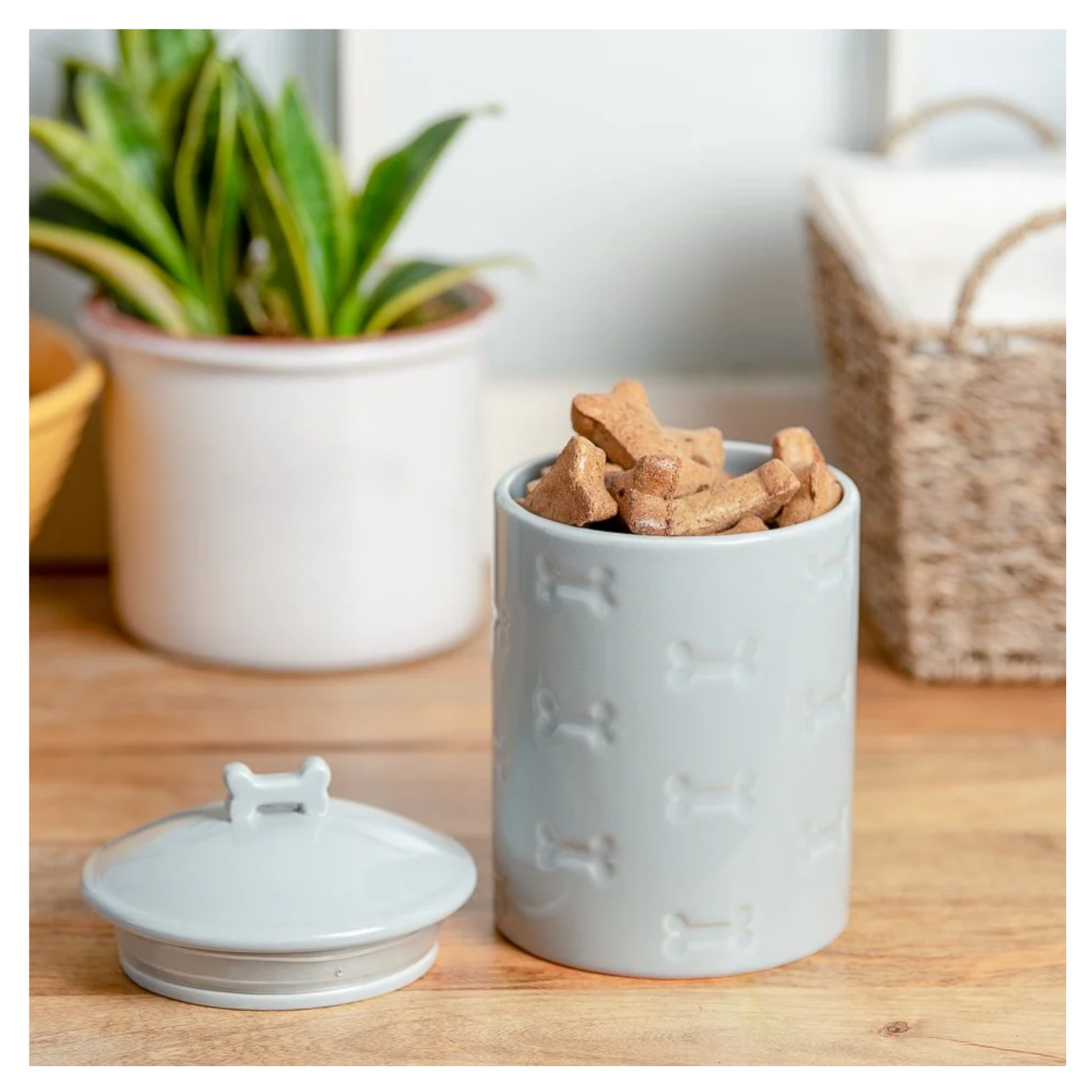Gray ceramic pet treat jar with embossed bone patterns filled with dog treats, shown with the lid removed on a wooden surface in a home setting.