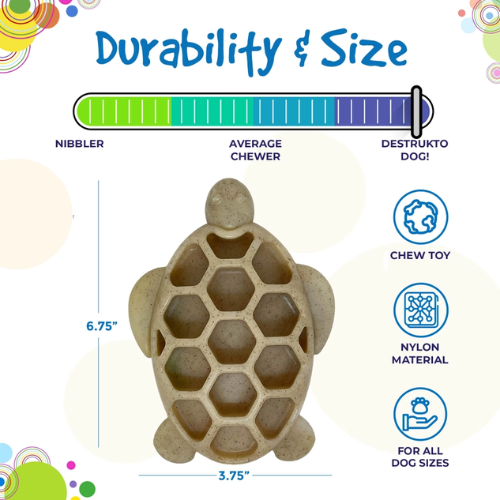 SodaPup Turtle eChew Durable Nylon Dog Chew and Enrichment Toy