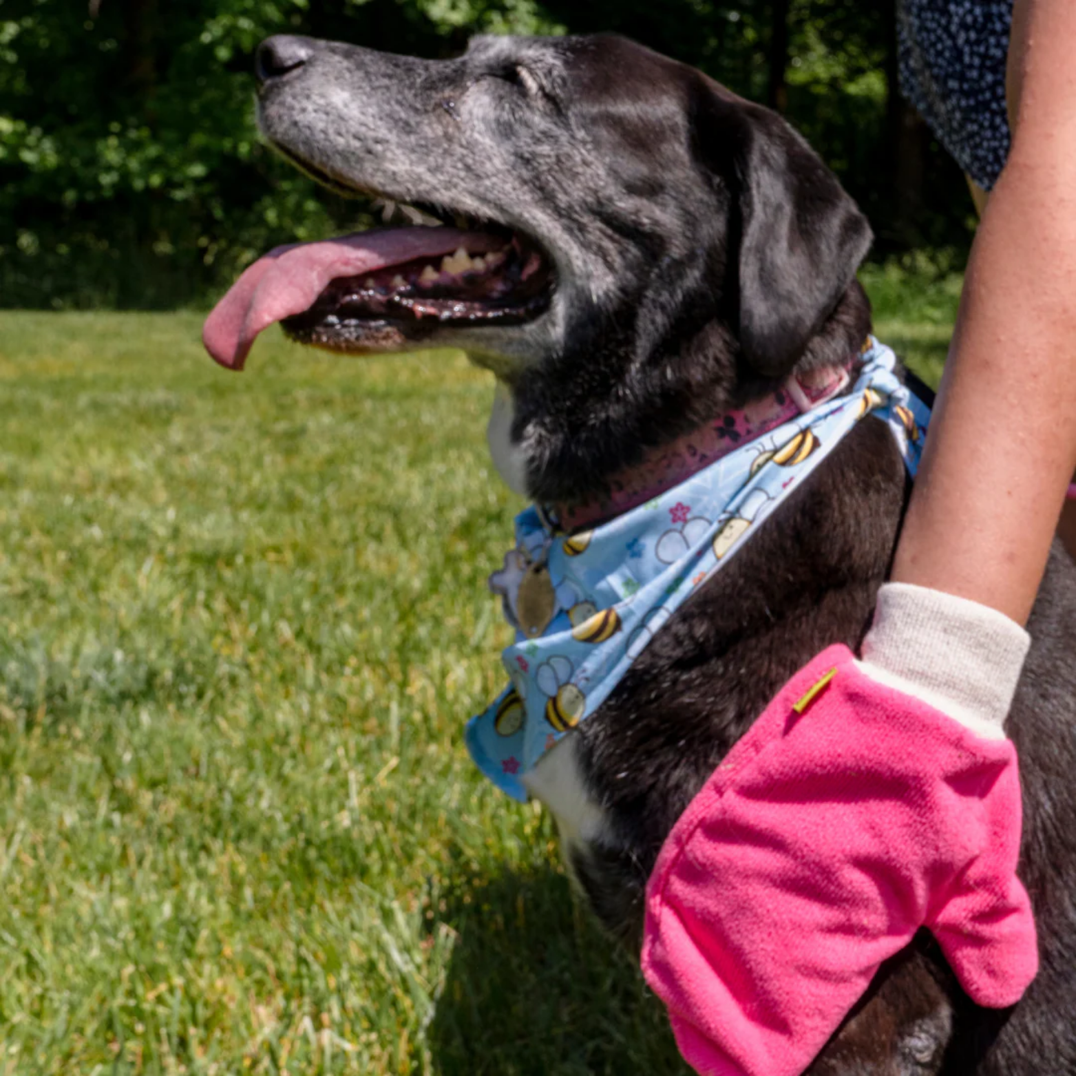 Tick Mitt Microfiber Tick Remover Glove for Dogs & Cats