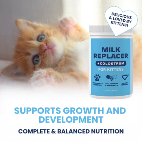 Under The Weather Milk Replacer with Colostrum Powder for Kittens 12oz