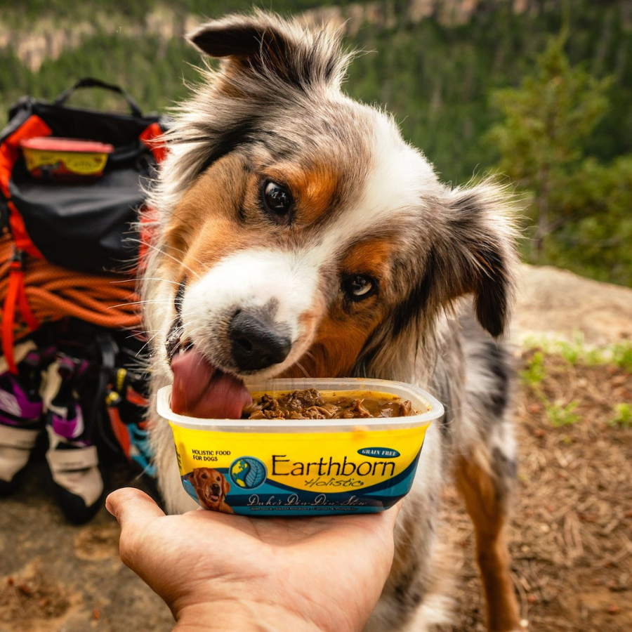 Earthborn Holistic Duke's Din Din Stew Grain-Free Natural Moist Dog Food, 9-oz - Mutts & Co.