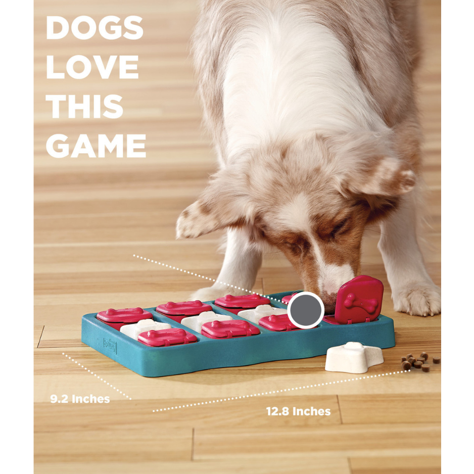 Nina Ottosson by Outward Hound Dog Brick Interactive Treat Puzzle Dog Toy