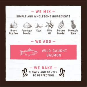 Earth Animal No-Hide Salmon Chew Bulk Strip Single - Mutts & Co.