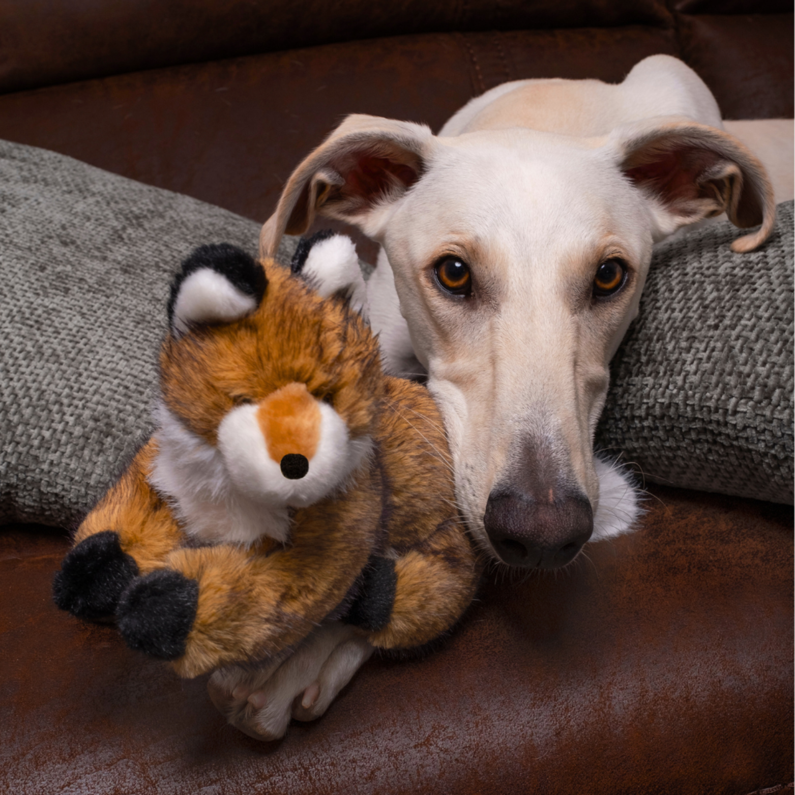 Fluff & Tuff Jasper Fox 10" Plush Dog Toy