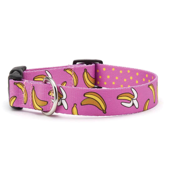 Up Country Go Bananas Printed Dog Collar - Mutts & Co.