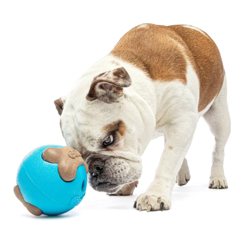 Guru Busy Ball Treat Dispensing Dog Toy, Medium