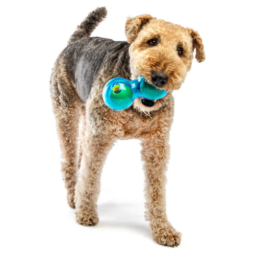 Guru Duo Ball Treat Dispensing Dog Toy, Medium