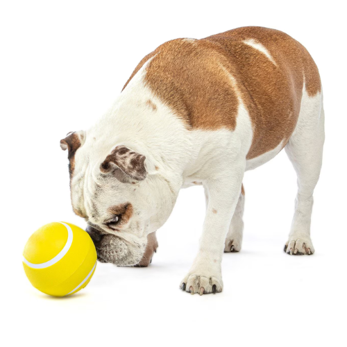 Guru Giggling Tennis Ball Dog Toy, Large