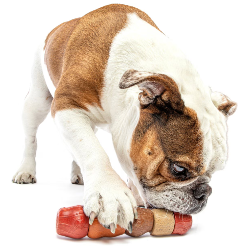 Guru Multi Flavor Stick Dog Toy, Medium