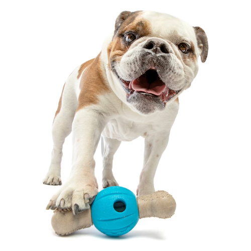 Guru Spin & Chew Bacon Bone Treat Dispensing Dog Toy, Medium