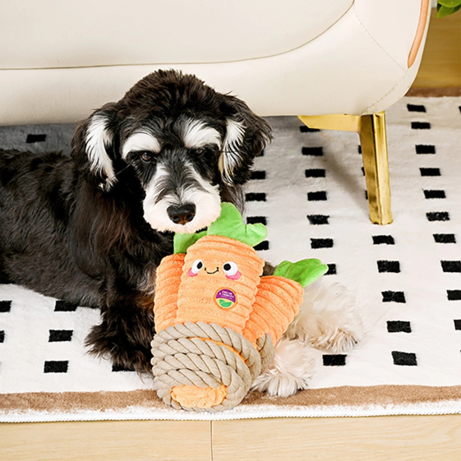 Dog playing with a carrot-shaped toy on a checkered rug