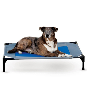 K&H Pet Products Coolin' Elevated Pet Bed Gray/Blue - Mutts & Co.