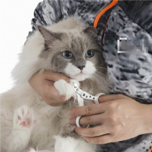 Necoichi Purrcision Feline Nail Trimmer - Mutts & Co.
