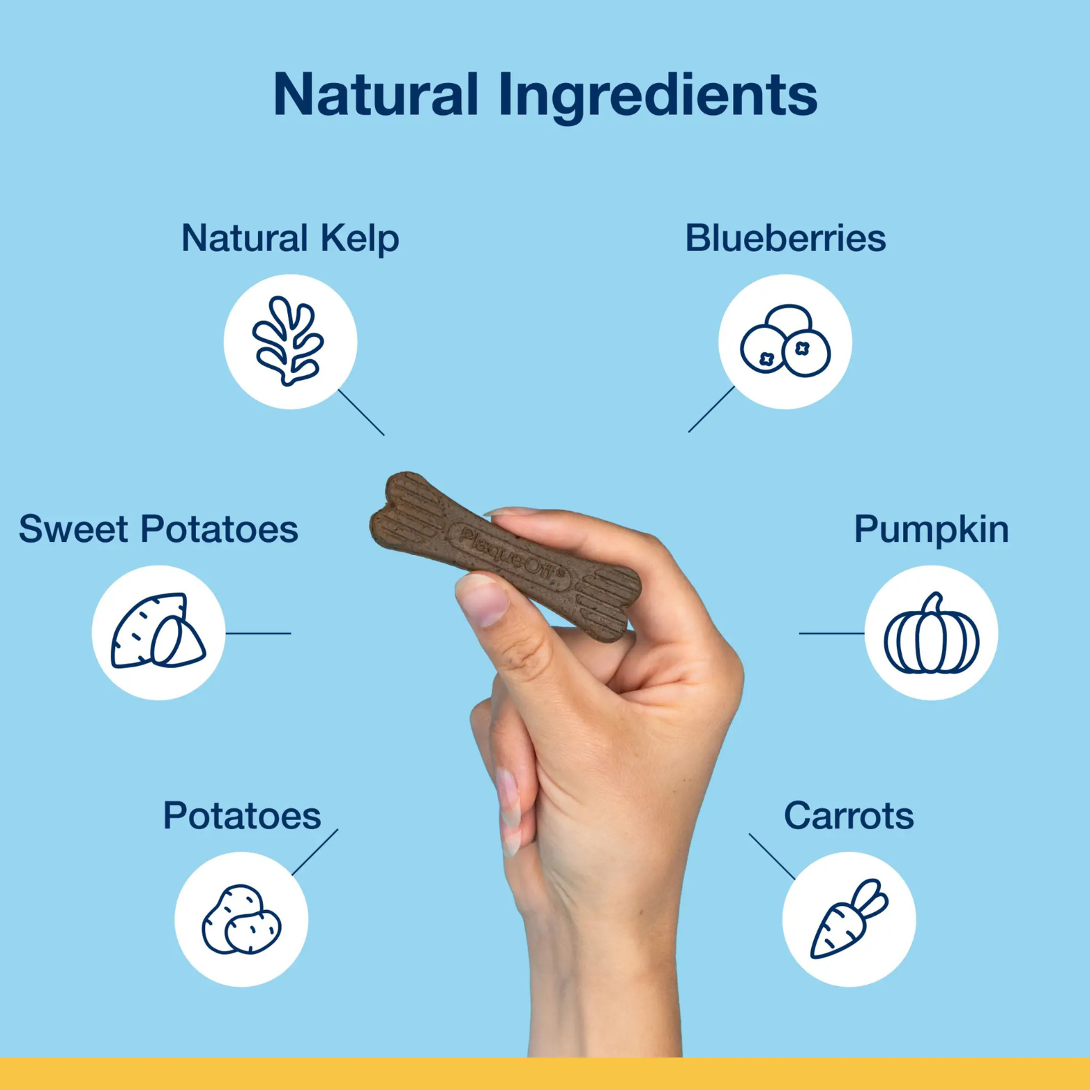 Proden PlaqueOff Mini Dental Care Bones Vegetable Fusion & Blueberry, 12oz