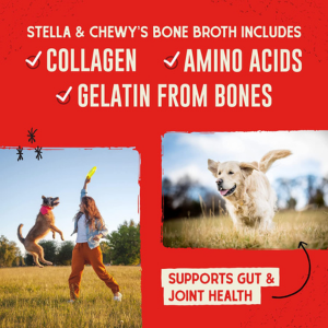 Stella & Chewy's Bountiful Bone Broth Chicken for Dogs 16 oz - Mutts & Co.