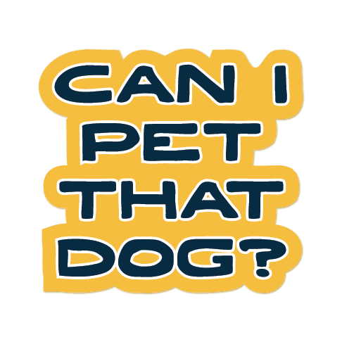 Text 'CAN I PET THAT DOG?' on a yellow background