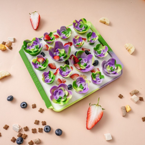 Tall Tails Succulent Garden Foraging Mat for Dogs