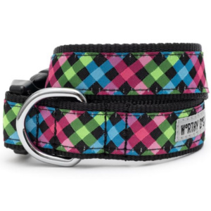 The Worthy Dog Carnival Check Dog Collar - Mutts & Co.