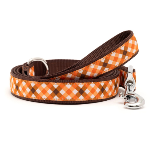 The Worthy Dog Fall Check Dog Lead