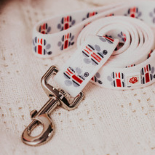 Top Rocks OSU Helmet Stripe Paw Print Leash