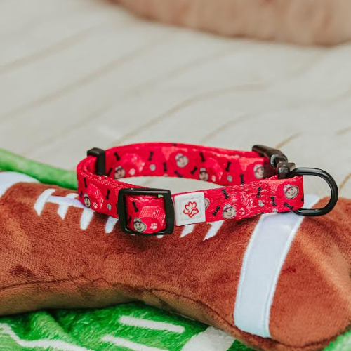 Top Rocks Red Brutus With Paws & Bones Pet Collar