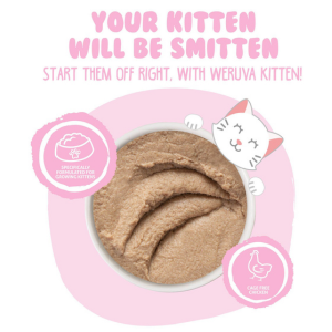 Weruva Kitten Chicken Puree Recipe Canned Cat Food - Mutts & Co.