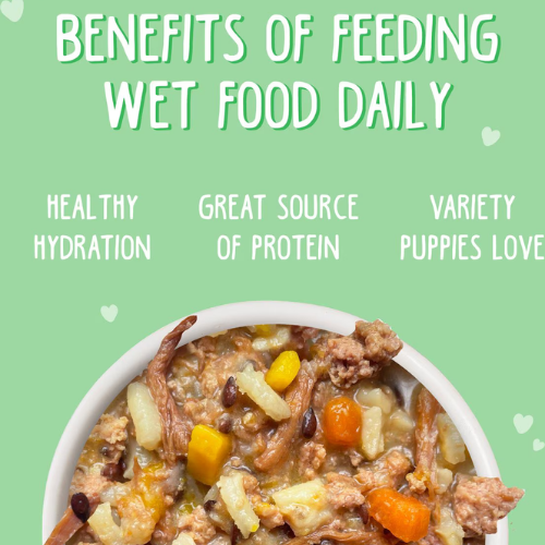 Weruva Puppy Beef & Rice Formula Canned Dog Food