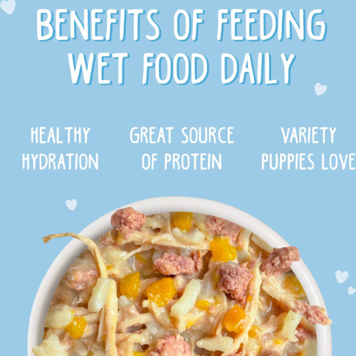 Weruva Puppy Chicken & Rice Formula Canned Dog Food