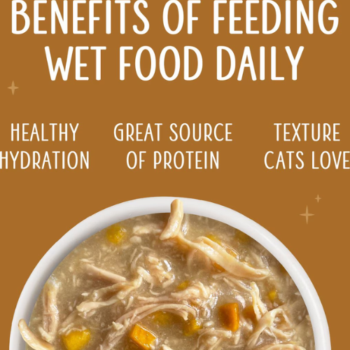 Weruva Senior Chicken Formula in Gravy Canned Cat Food