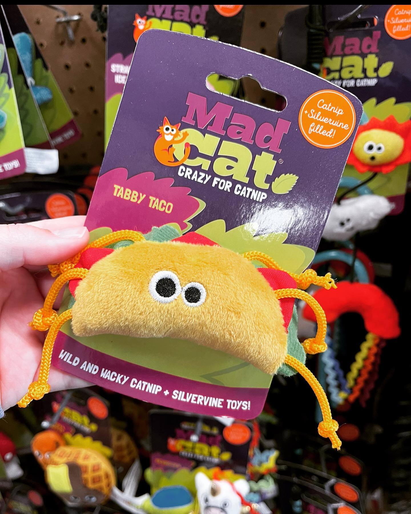 best cat toys near me