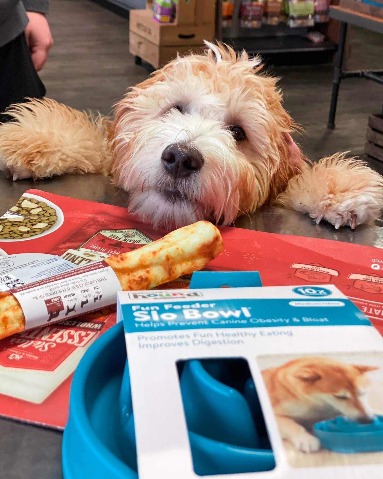 best dog store in columbus