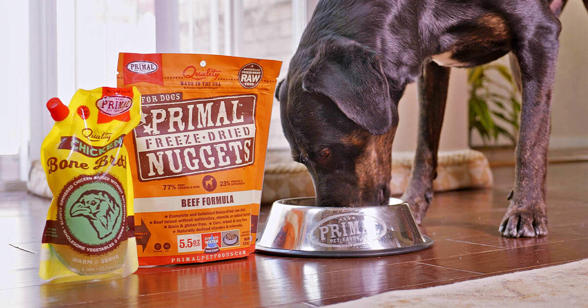 A large dog enjoying freeze dried dog food