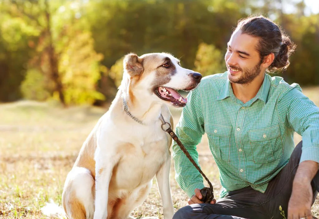 WE-OFFER-CAREERS-MUTTS-AND-CO-IMAGE