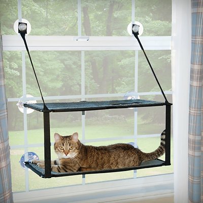 Cat window lounger best sale