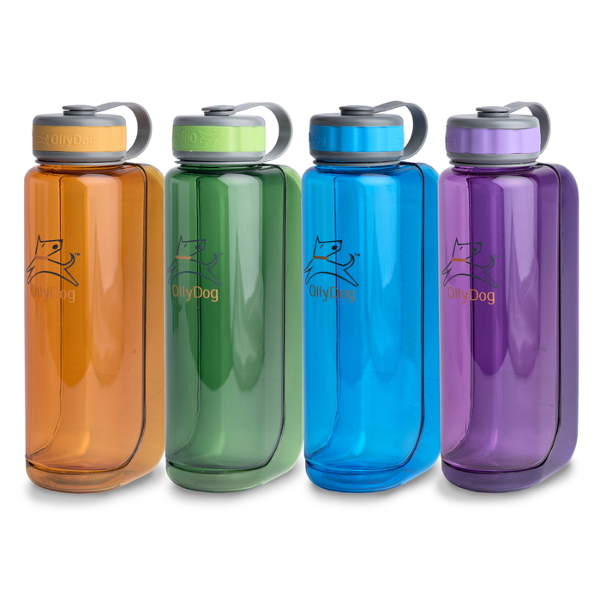 Messy Mutts Stainless Travel Water Bottle & Bowl Blue