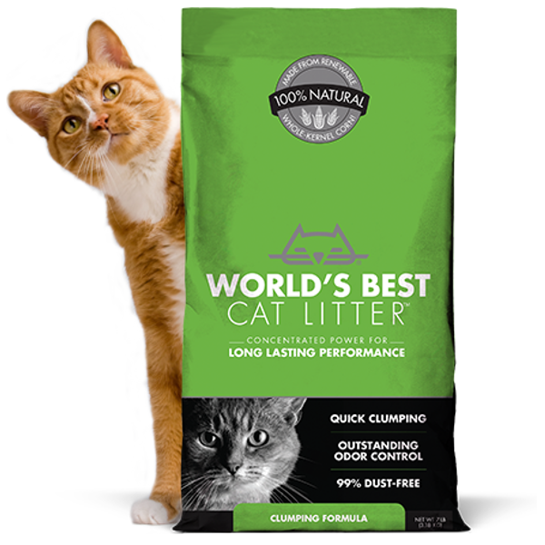 World's best cat litter best sale
