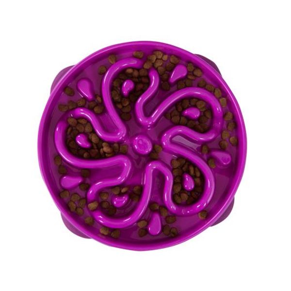 Outward Hound Fun Feeder Interactive Dog Bowl - Mutts & Co.