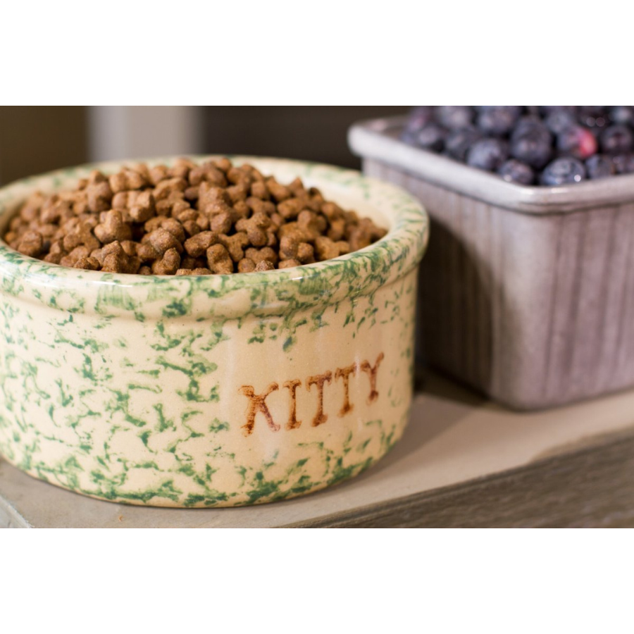 Dr. Gary's Best Breed Holistic Grain-Free All Life Stages Dry Cat Food - Mutts & Co.