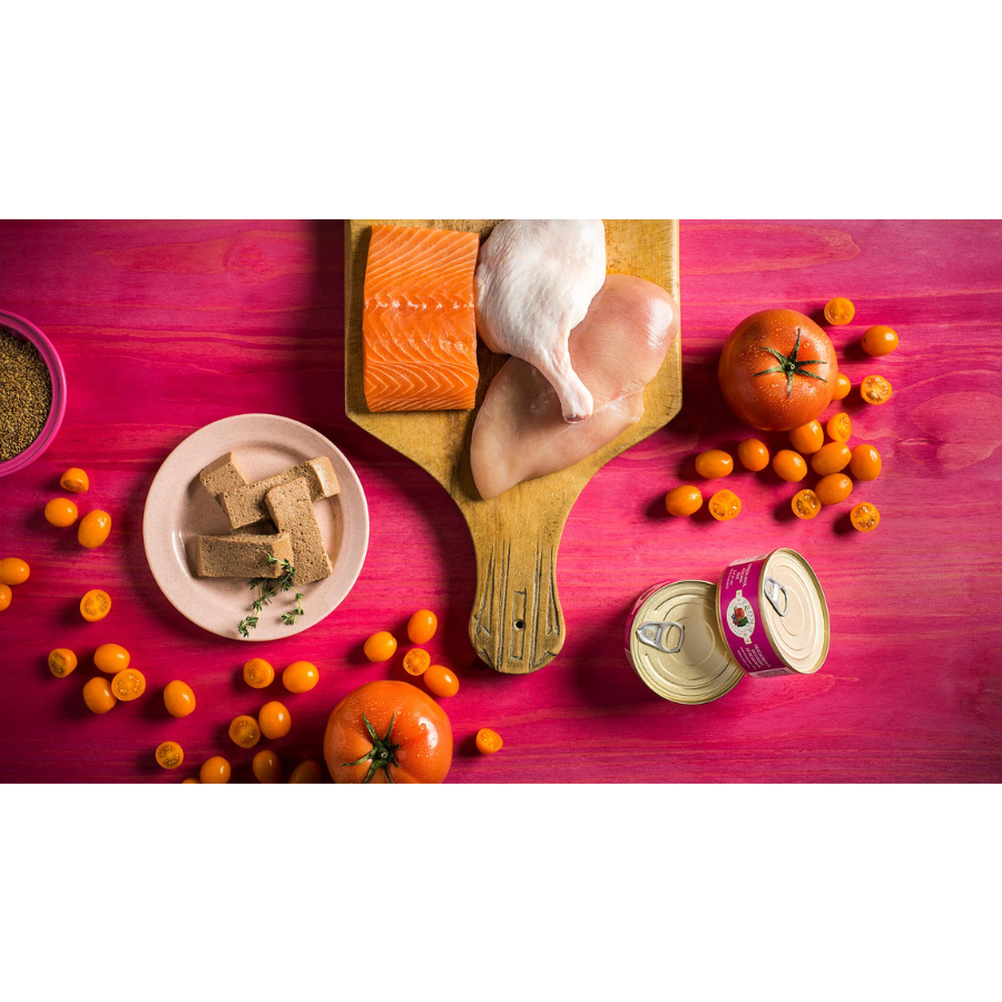 Fromm Four-Star Chicken, Duck & Salmon Pate Canned Cat Food, 5-oz - Mutts & Co.