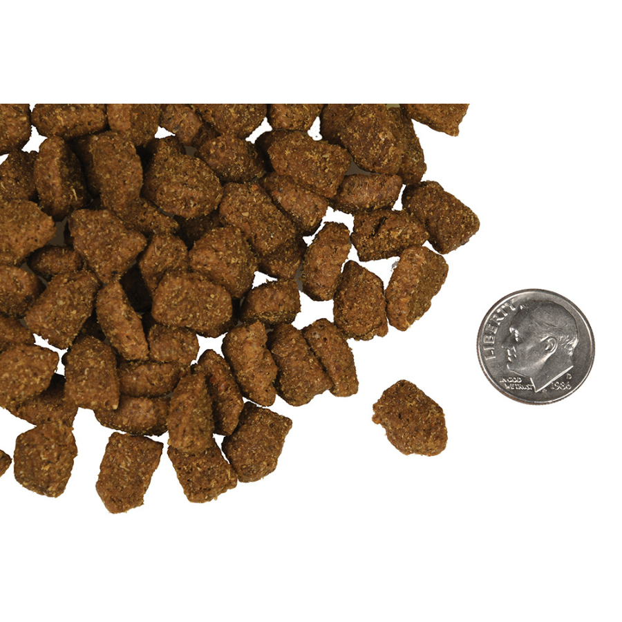 Fromm Four Star Highlander Beef, Oats, n' Barley Recipe Dog Food - Mutts & Co.