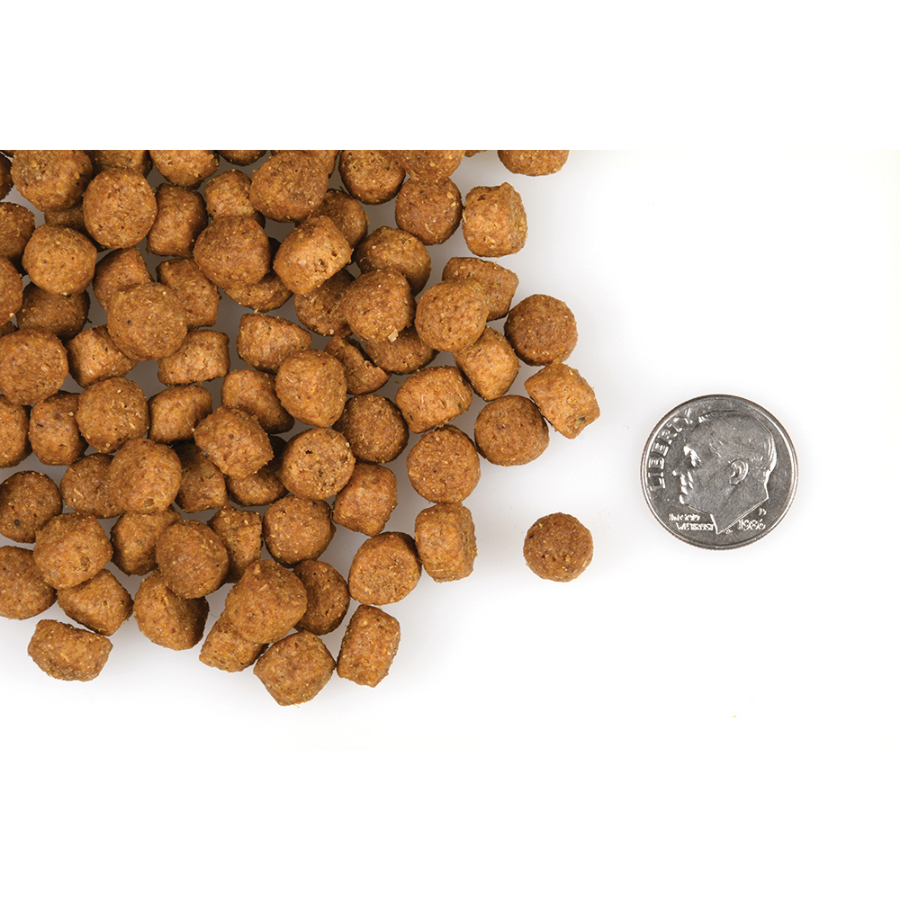 Fromm Gold Large Breed Puppy Dog Food - Mutts & Co.