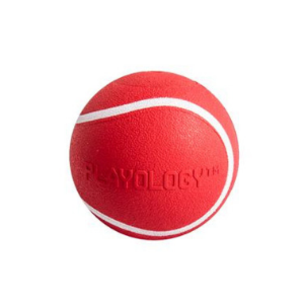 Playology Squeaky Chew Ball Dog Toy Beef - Mutts & Co.